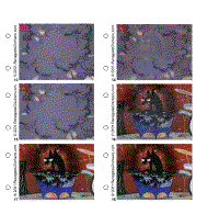 Flipbook Image 3
